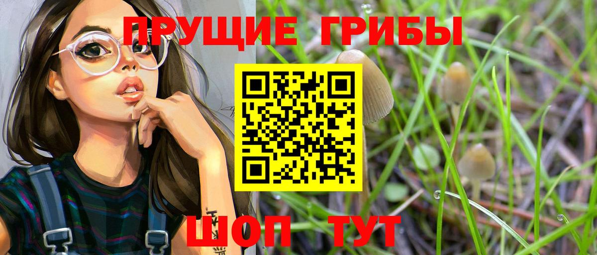 Псилоцибиновые грибы GOLDEN TEACHER  цены наркотик  Псилоцибиновые грибы Magic Shrooms  Сергиев Посад  Вход с VPN 