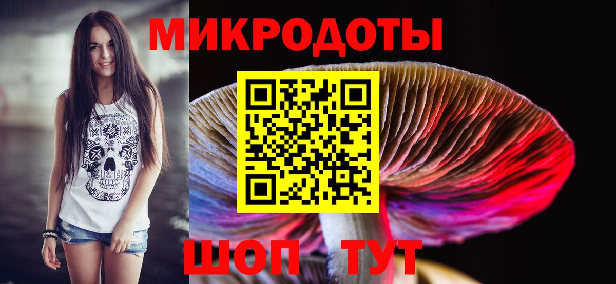 Псилоцибиновые грибы Psilocybe Сергиев Посад